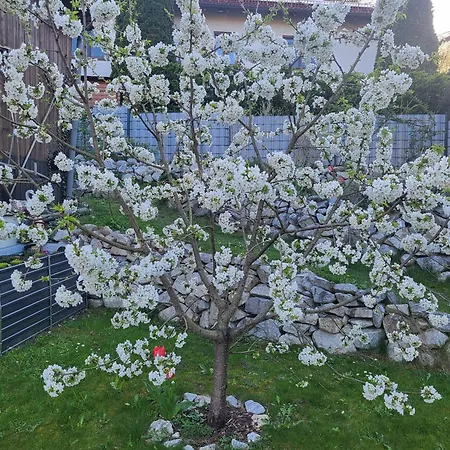Purzel Apartman