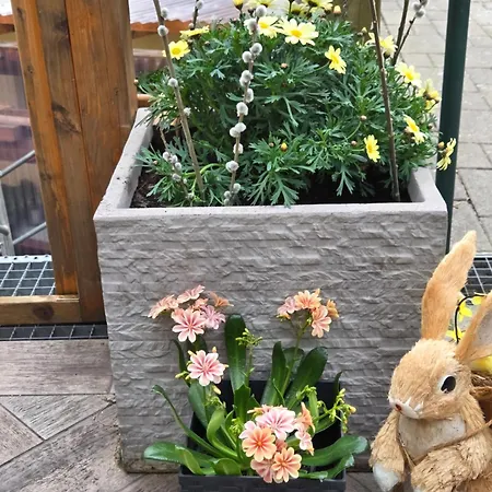 Purzel Appartement Mauerbach