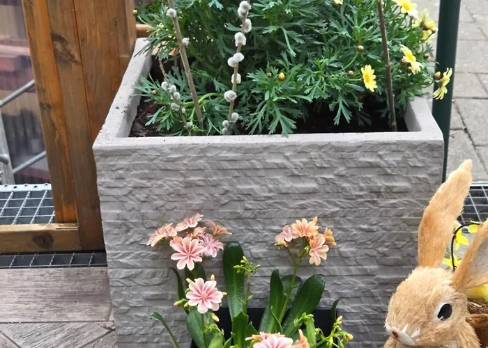 Purzel Appartement Mauerbach